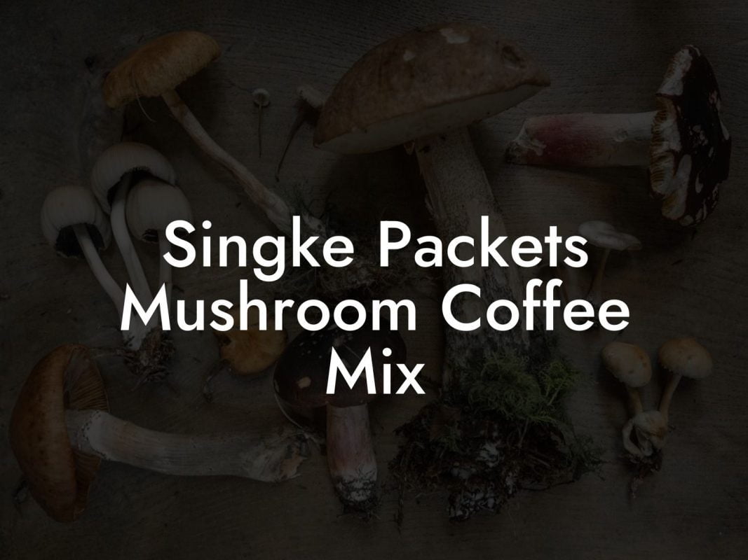 Singke Packets Mushroom Coffee Mix