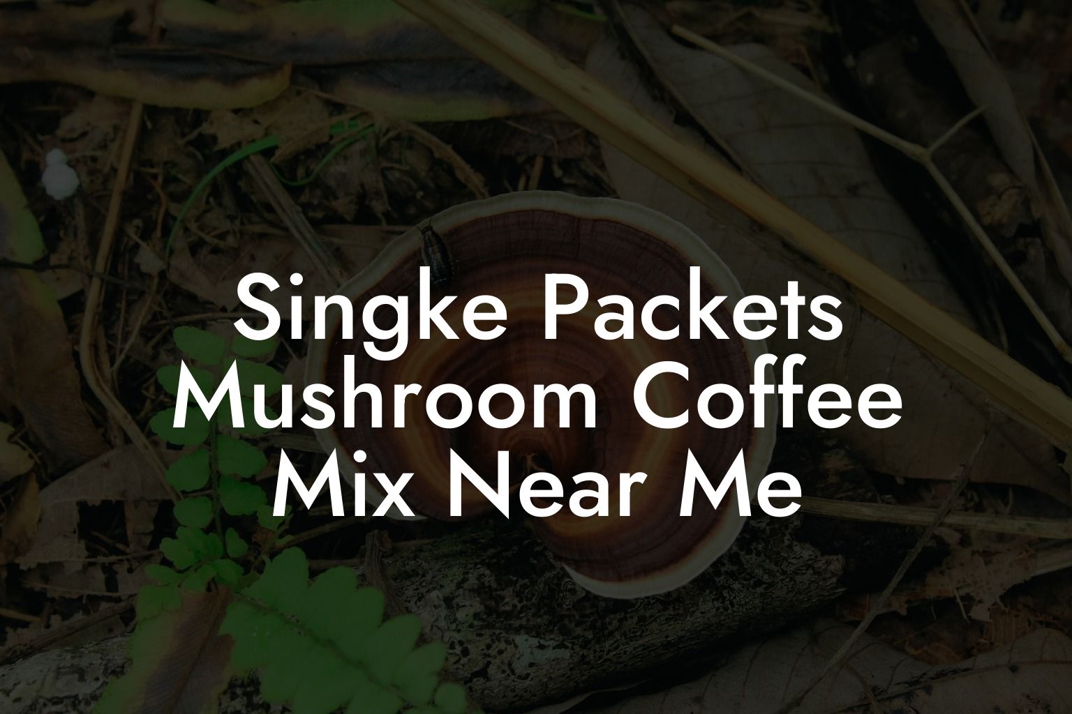 Singke Packets Mushroom Coffee Mix Near Me