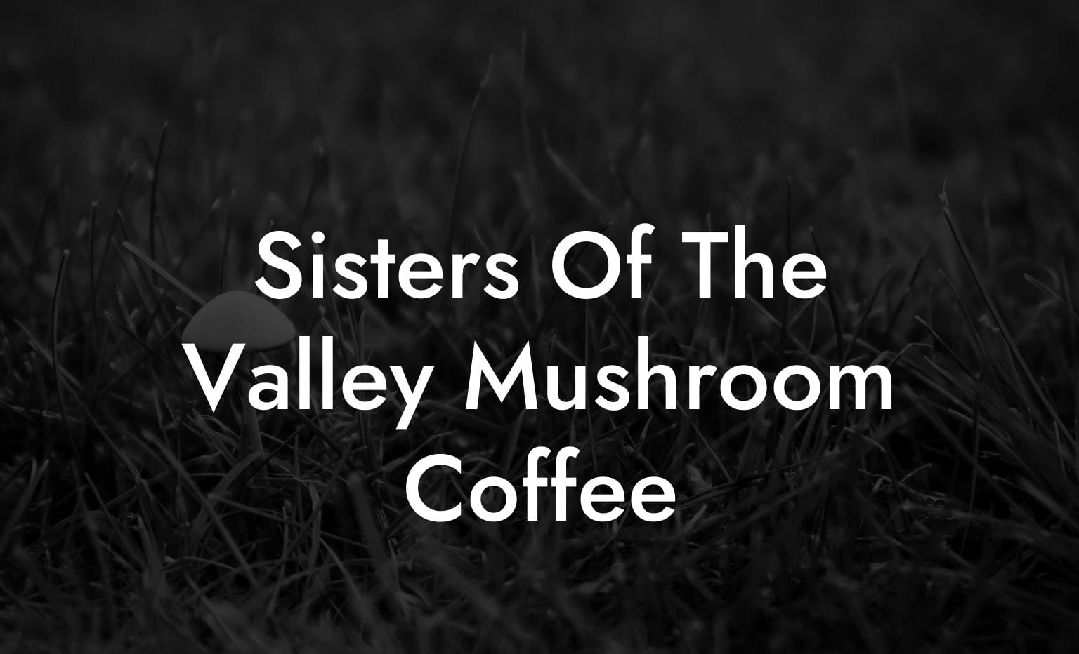 Sisters Of The Valley Mushroom Coffee