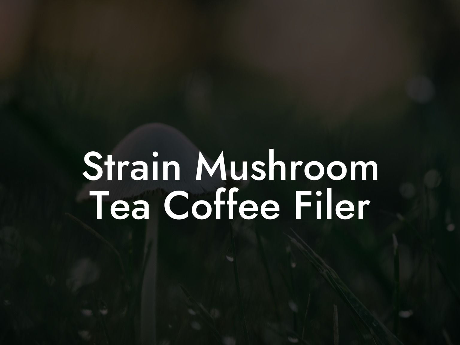 Strain Mushroom Tea Coffee Filer