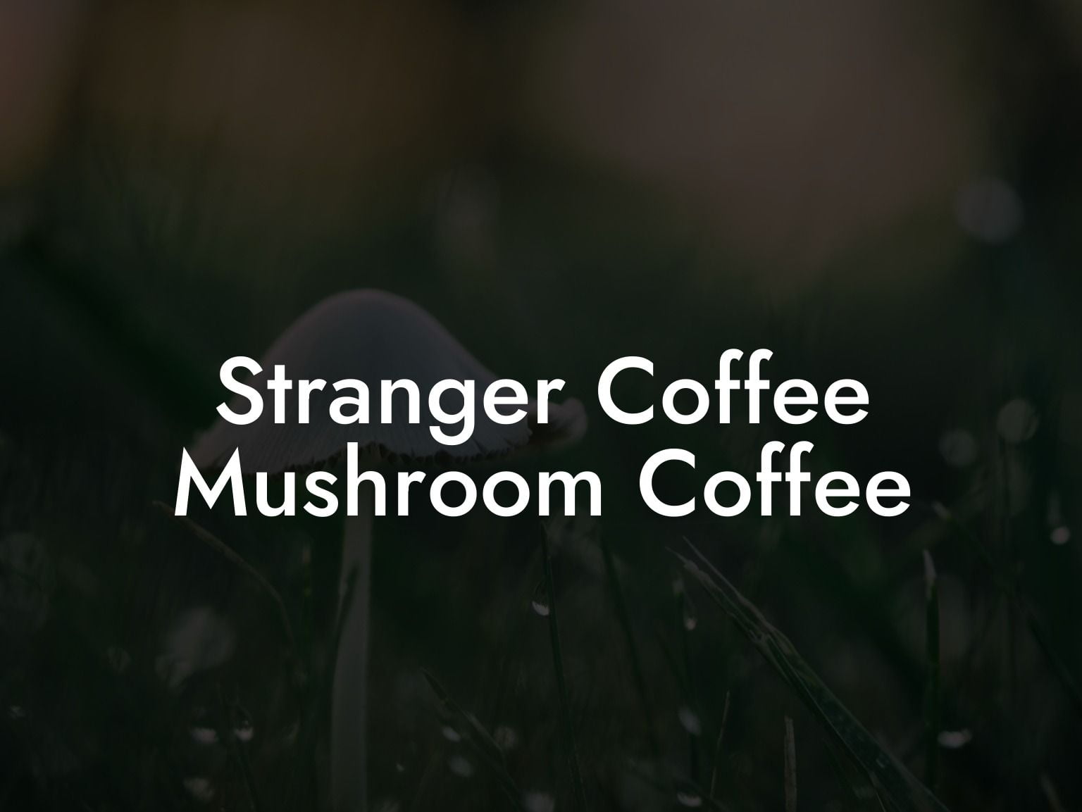 Stranger Coffee Mushroom Coffee