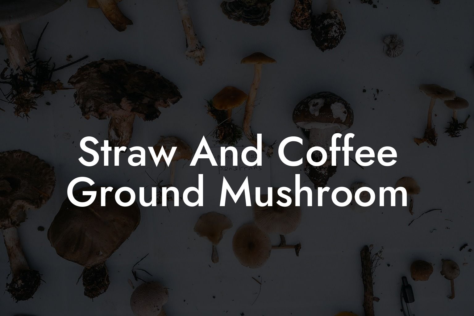Straw And Coffee Ground Mushroom