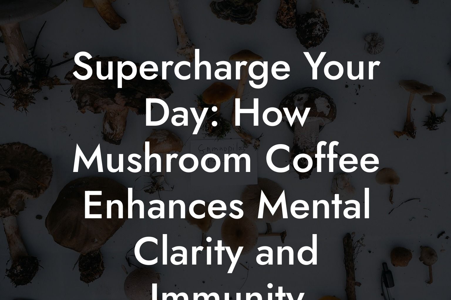 Supercharge Your Day: How Mushroom Coffee Enhances Mental Clarity and Immunity