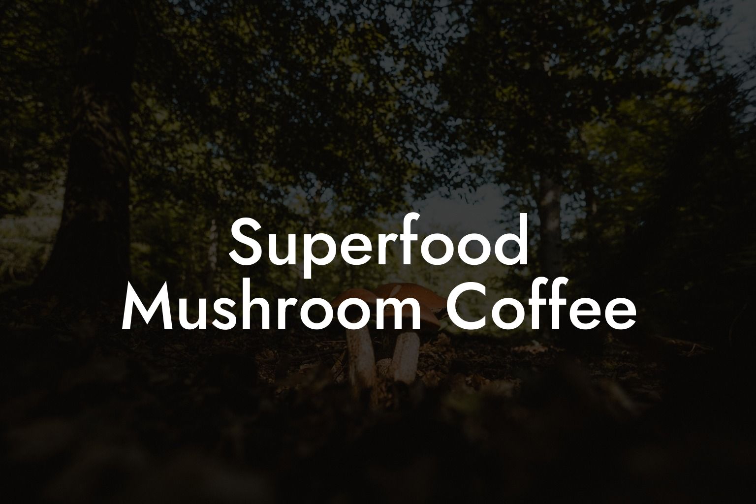 Superfood Mushroom Coffee