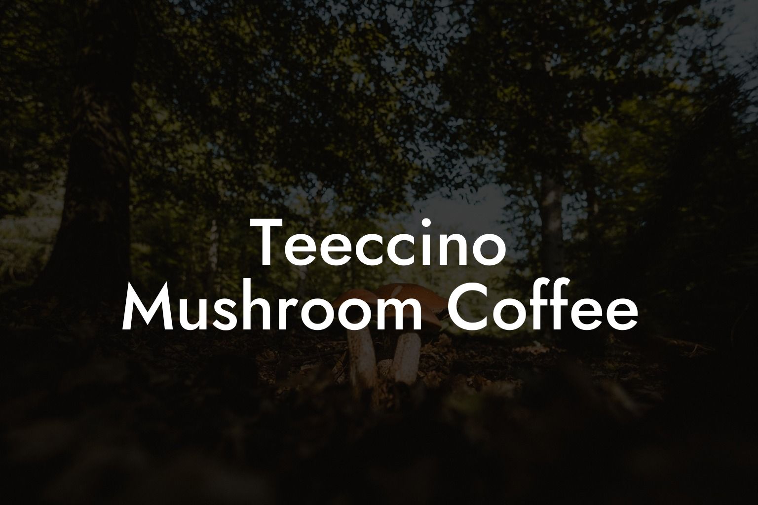 Teeccino Mushroom Coffee
