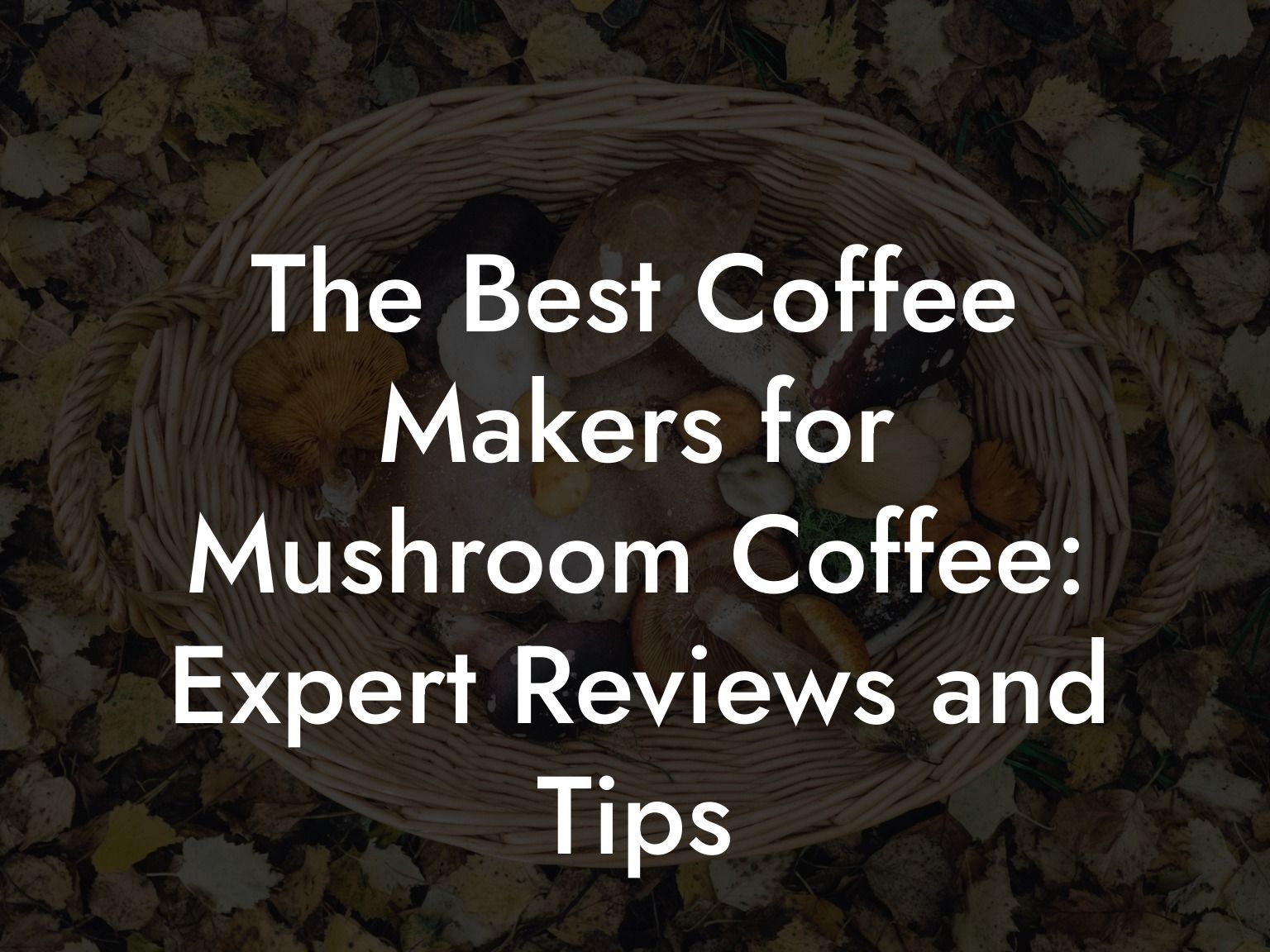 The Best Coffee Makers for Mushroom Coffee: Expert Reviews and Tips
