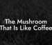 The Mushroom That Is Like Coffee