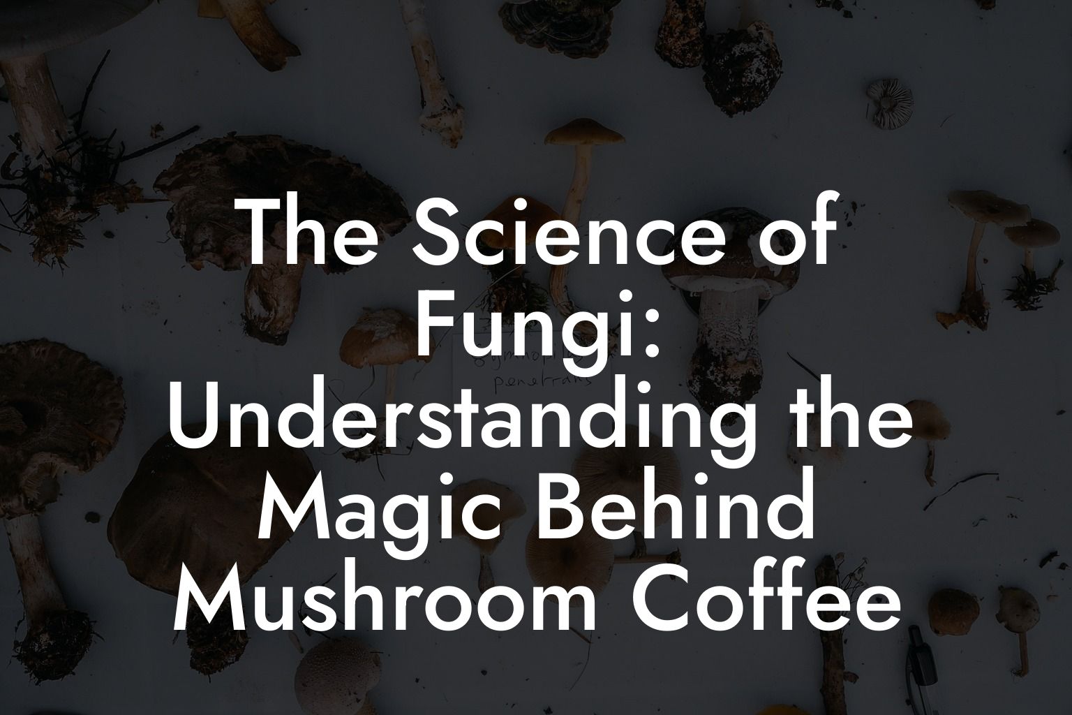 The Science of Fungi: Understanding the Magic Behind Mushroom Coffee