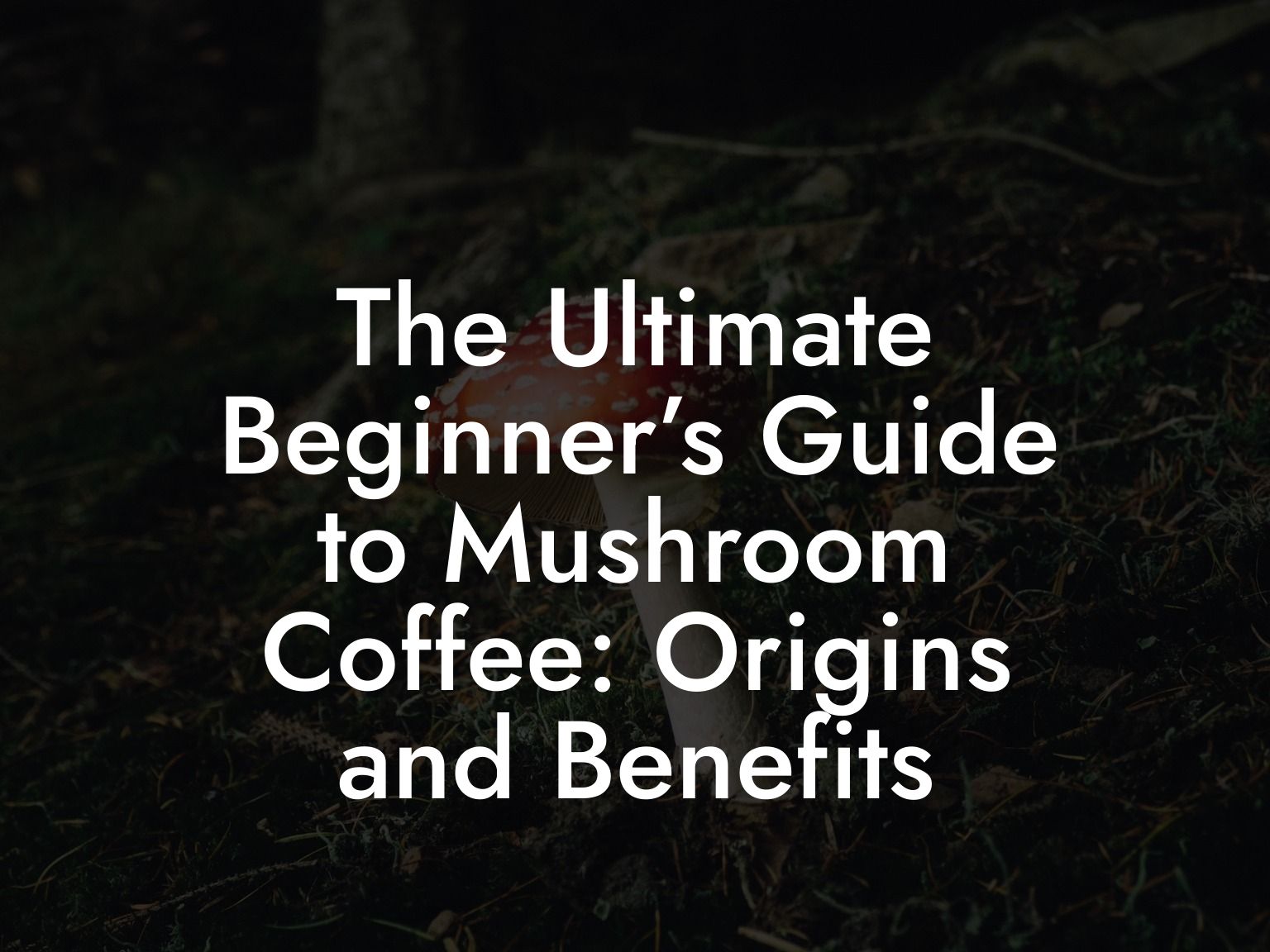 The Ultimate Beginner’s Guide to Mushroom Coffee: Origins and Benefits