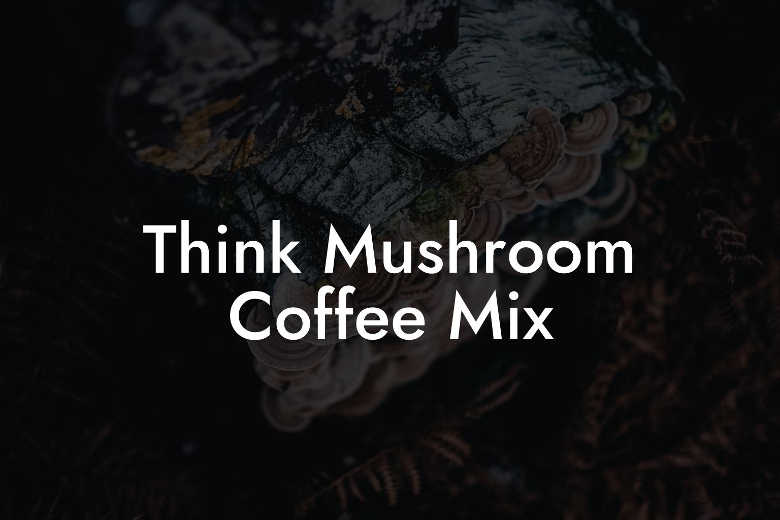 Think Mushroom Coffee Mix
