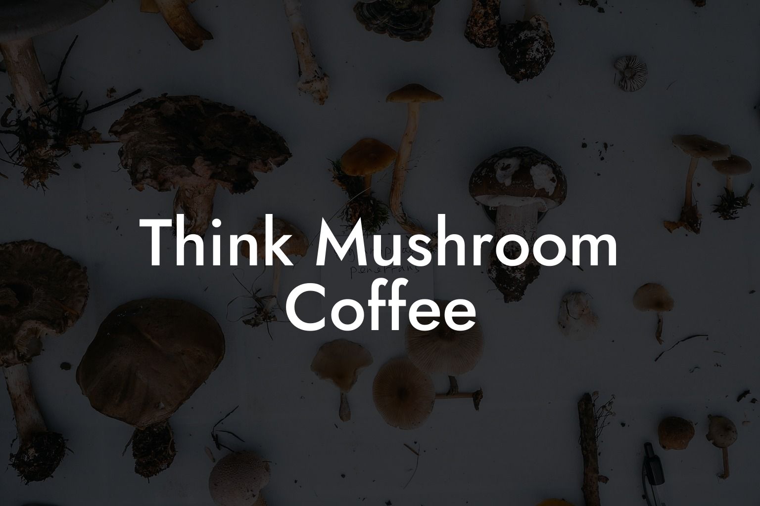 Think Mushroom Coffee