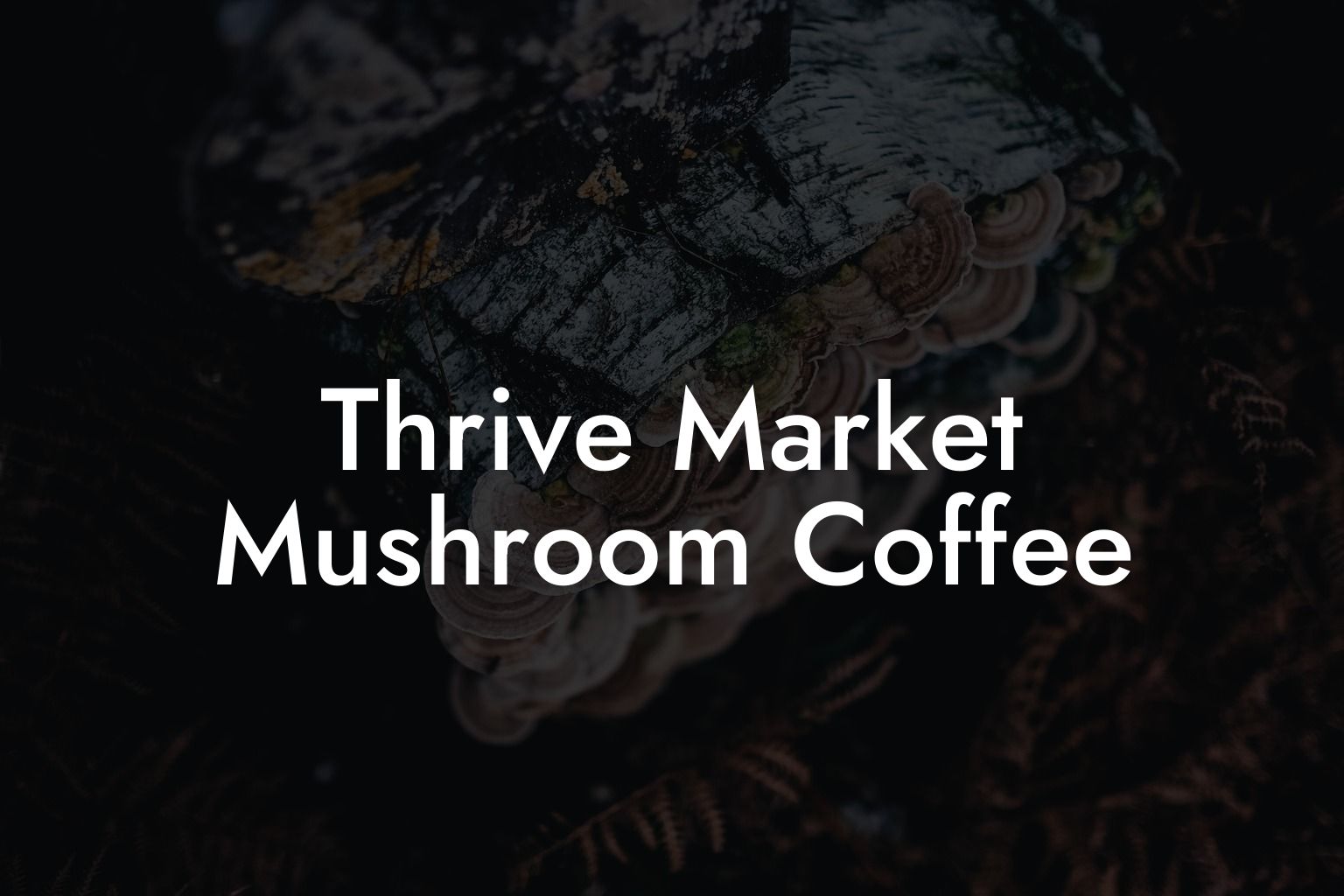 Thrive Market Mushroom Coffee