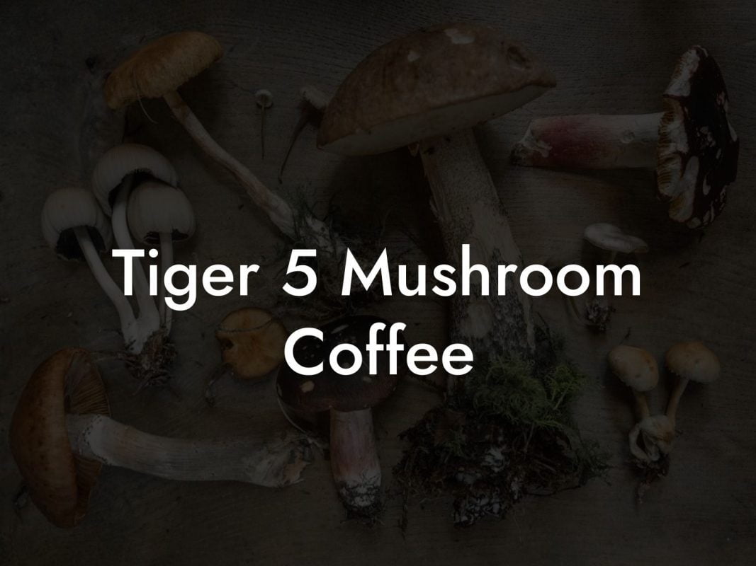 Tiger 5 Mushroom Coffee