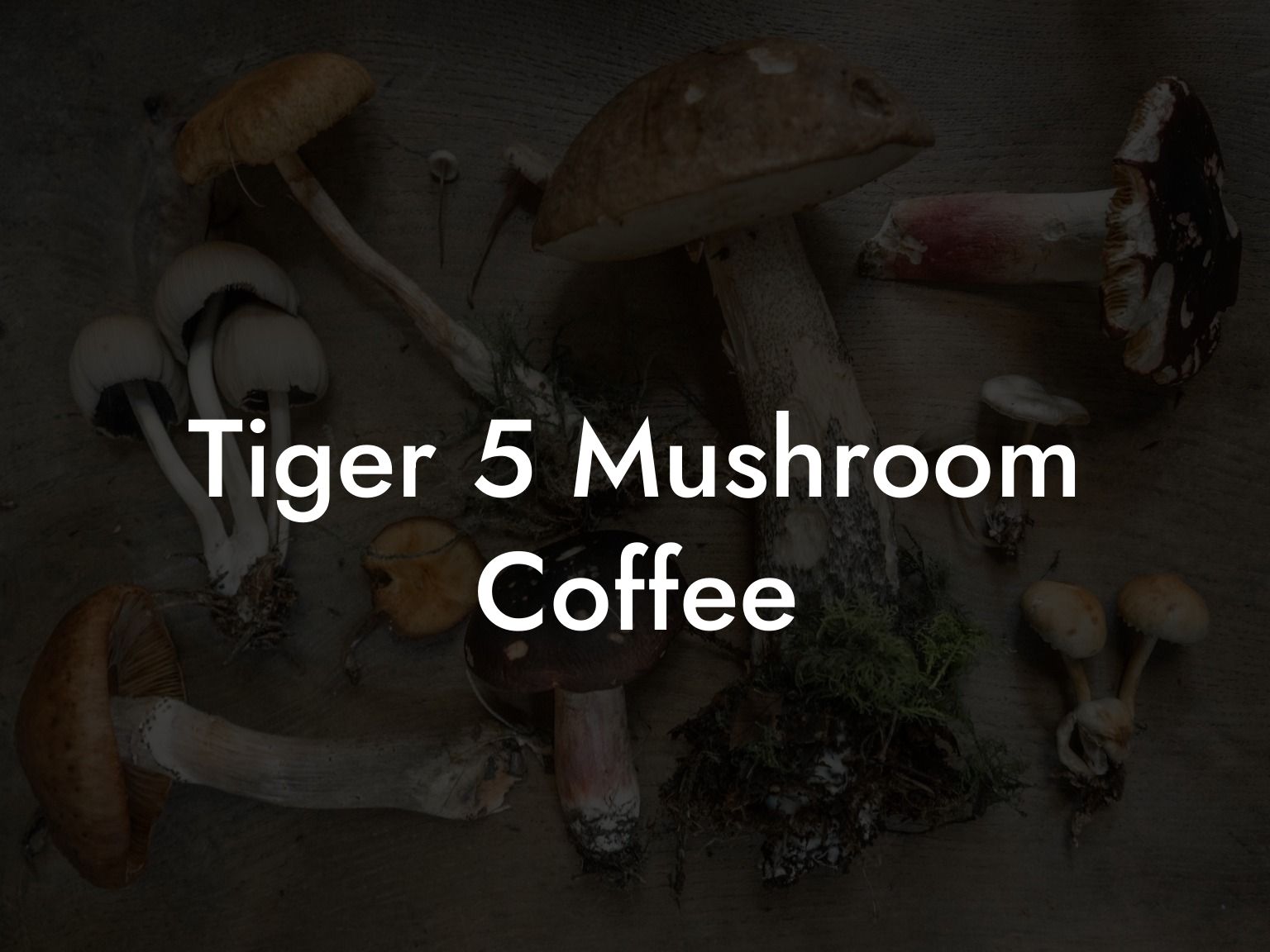 Tiger 5 Mushroom Coffee