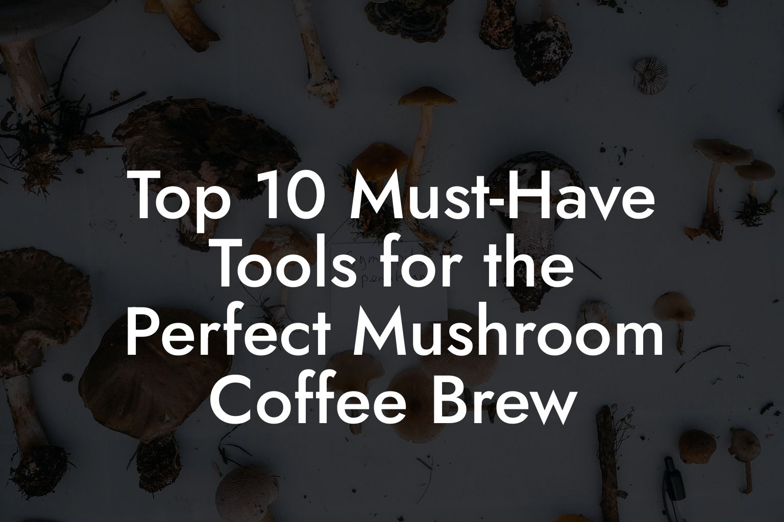 Top 10 Must-Have Tools for the Perfect Mushroom Coffee Brew