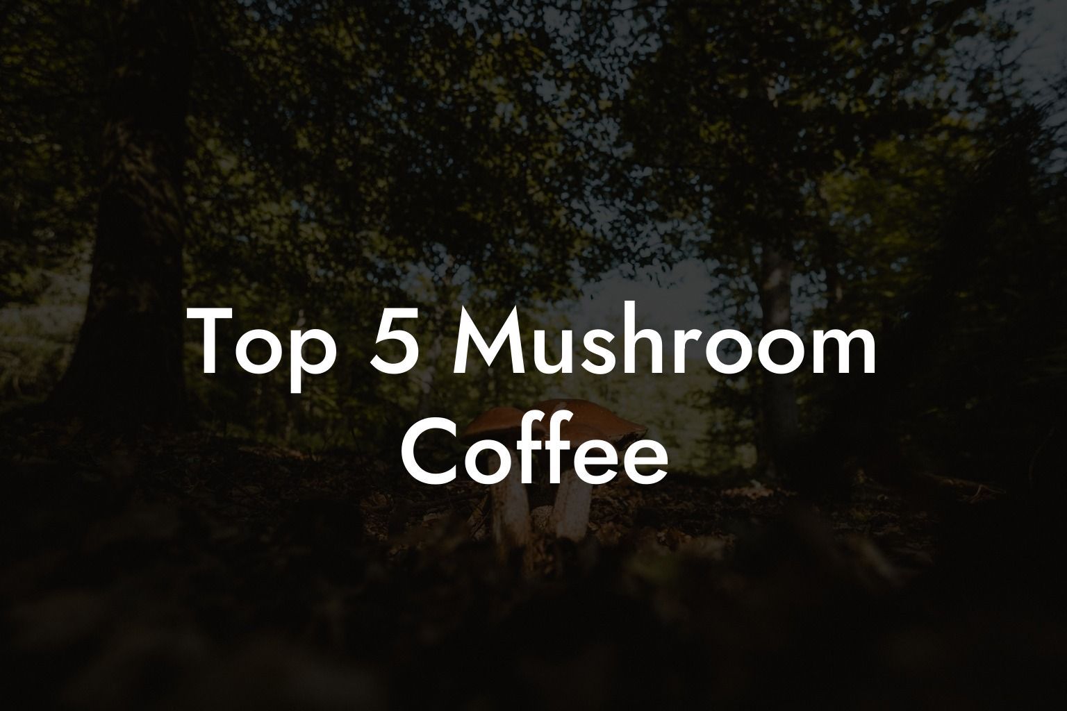 Top 5 Mushroom Coffee