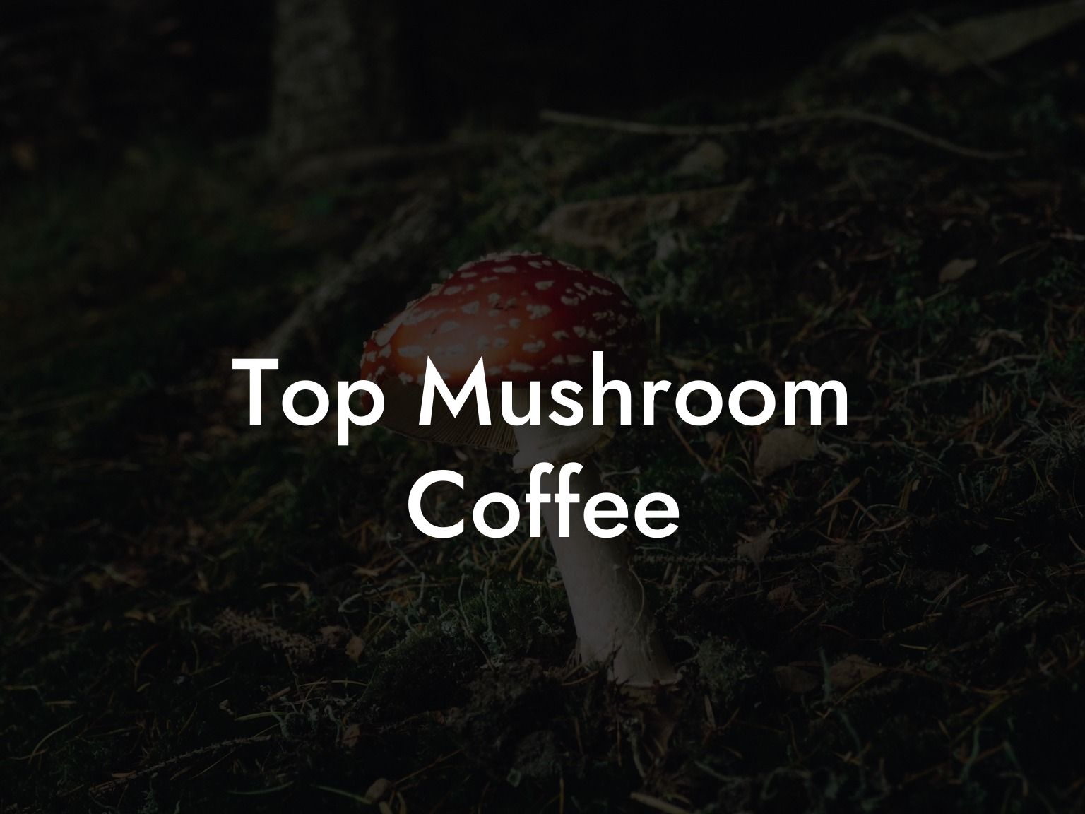 Top Mushroom Coffee