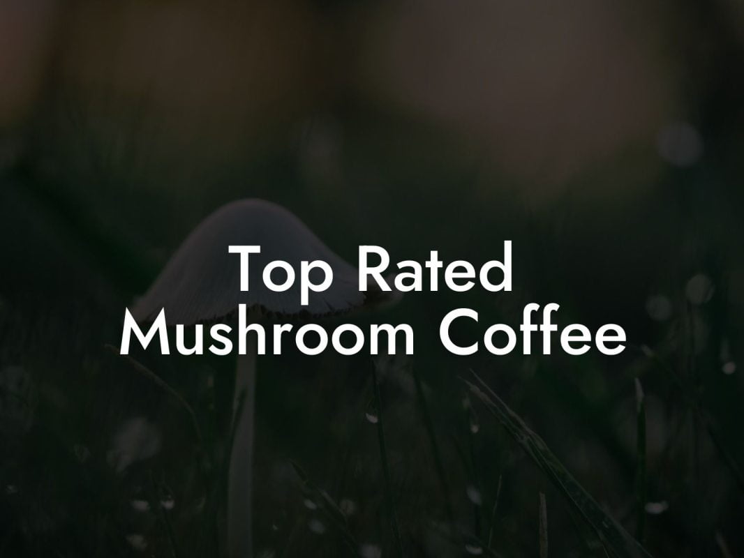 Top Rated Mushroom Coffee