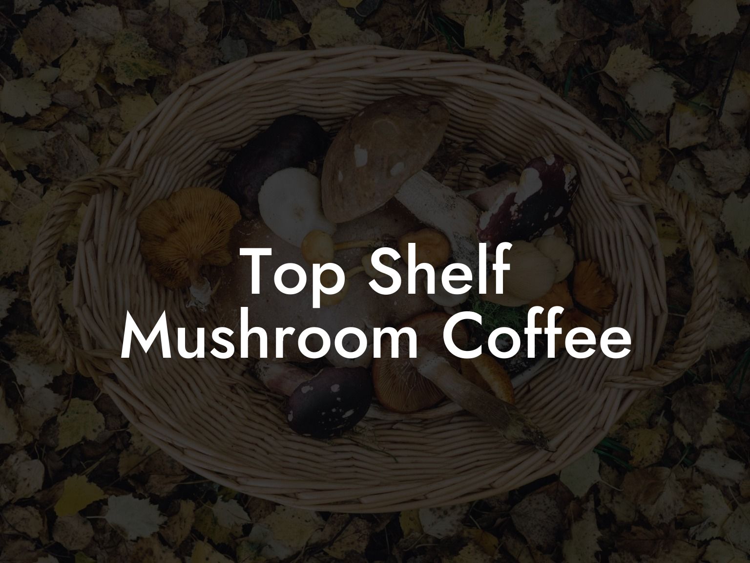 Top Shelf Mushroom Coffee