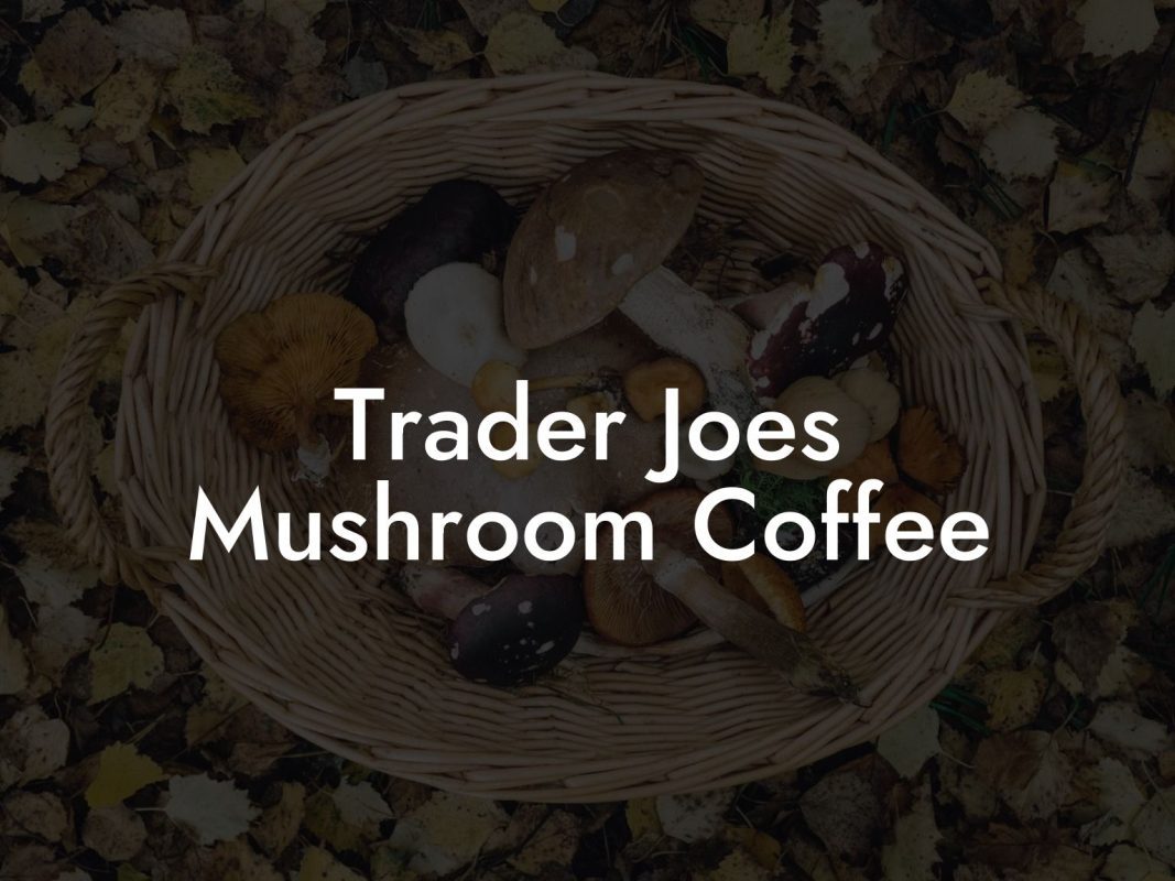 Trader Joes Mushroom Coffee