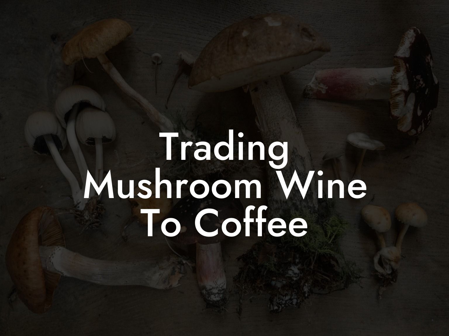 Trading Mushroom Wine To Coffee