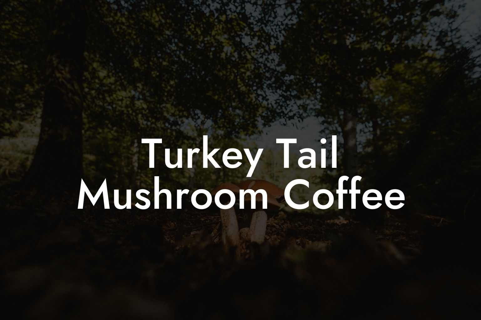 Turkey Tail Mushroom Coffee