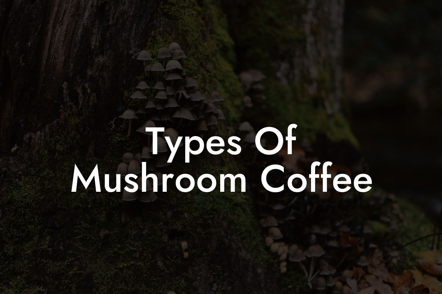 Types Of Mushroom Coffee