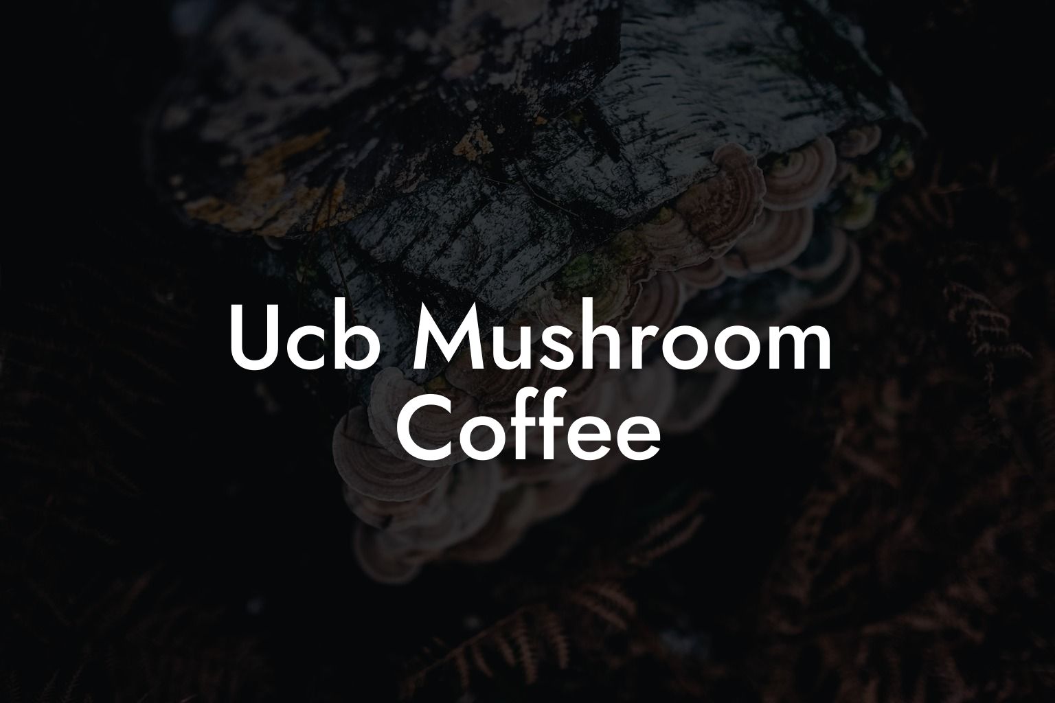 Ucb Mushroom Coffee