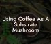 Using Coffee As A Substrate Mushroom
