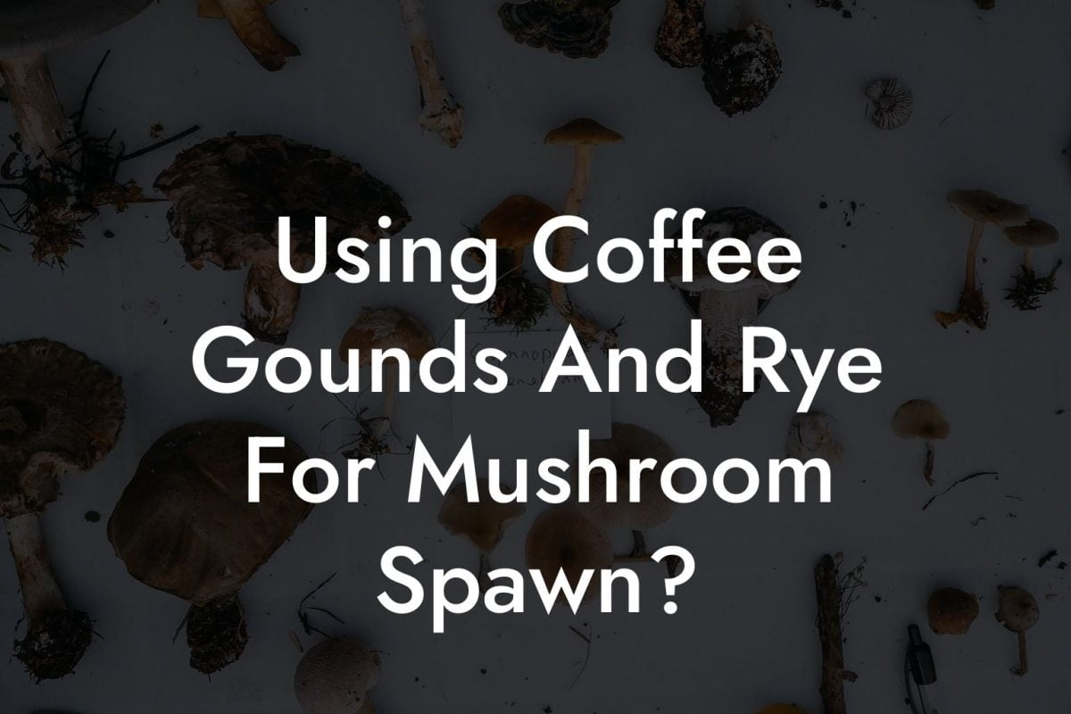 Using Coffee Gounds And Rye For Mushroom Spawn?