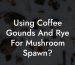 Using Coffee Gounds And Rye For Mushroom Spawn?