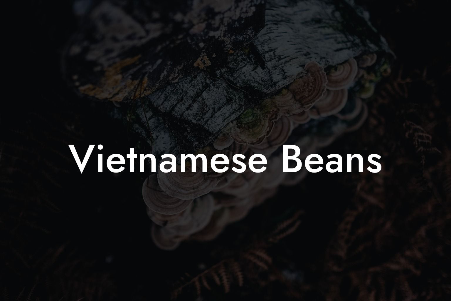 Vietnamese Beans