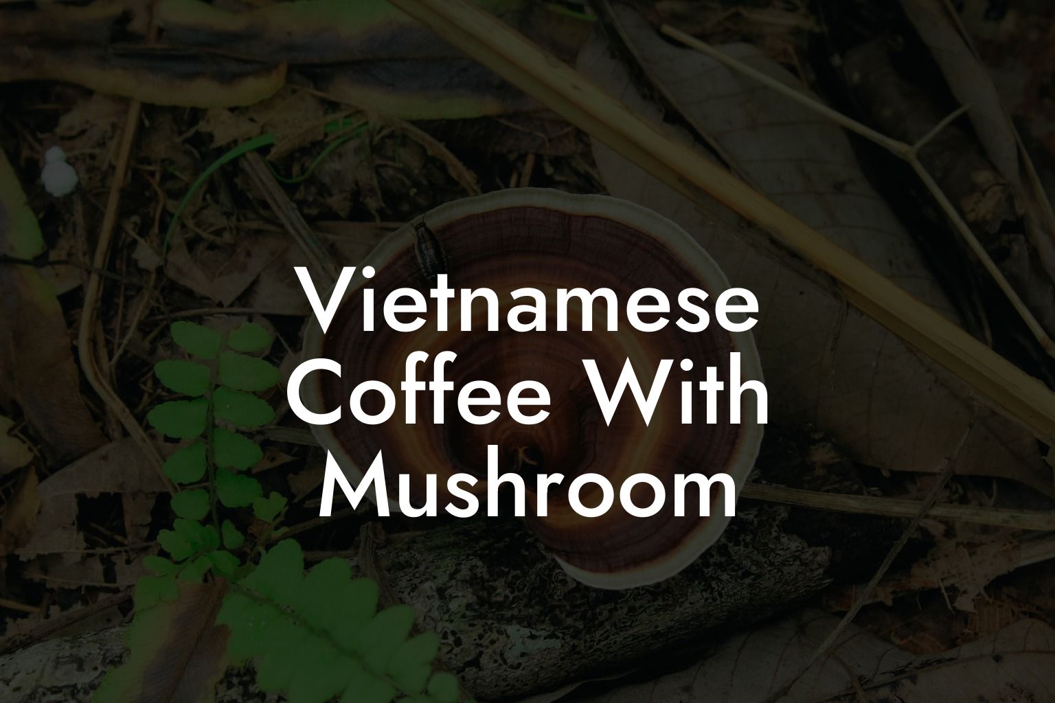 Vietnamese Coffee With Mushroom