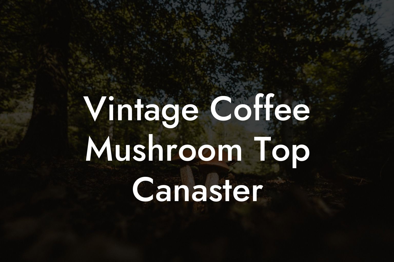 Vintage Coffee Mushroom Top Canaster