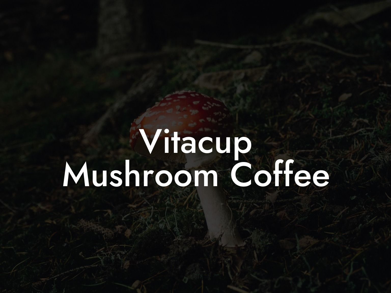 Vitacup Mushroom Coffee