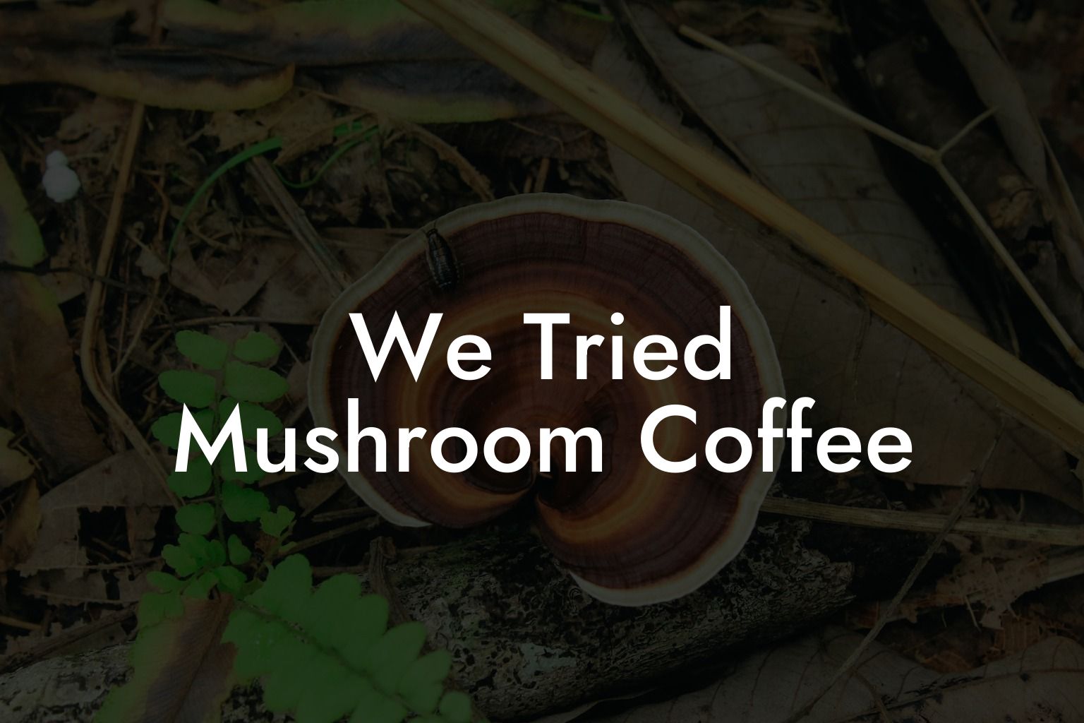 We Tried Mushroom Coffee