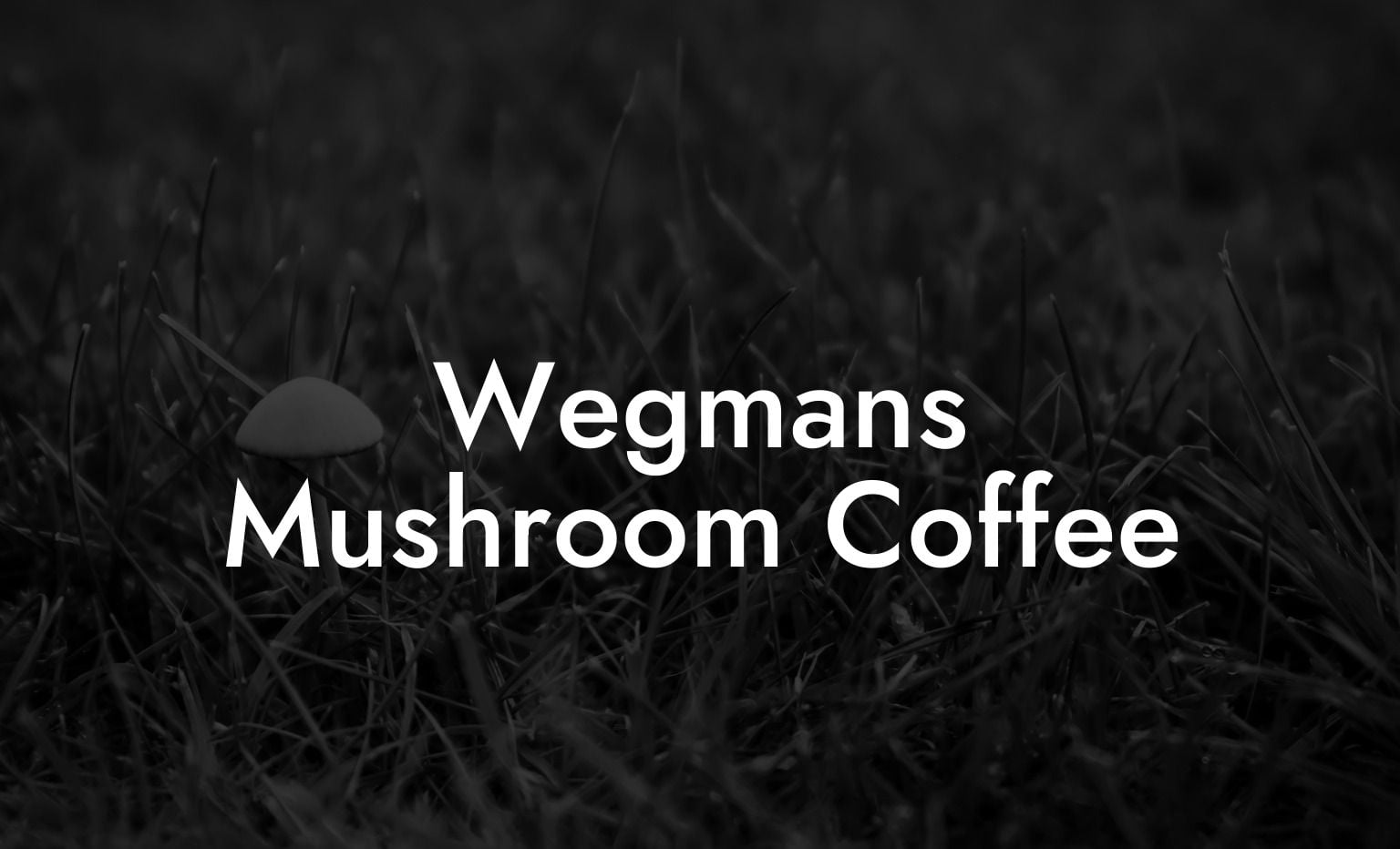 Wegmans Mushroom Coffee