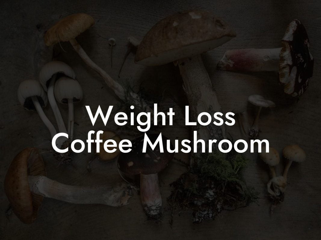 Weight Loss Coffee Mushroom