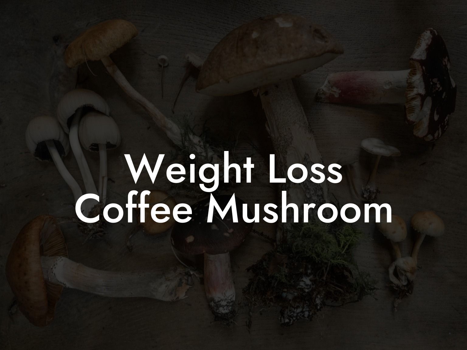 Weight Loss Coffee Mushroom