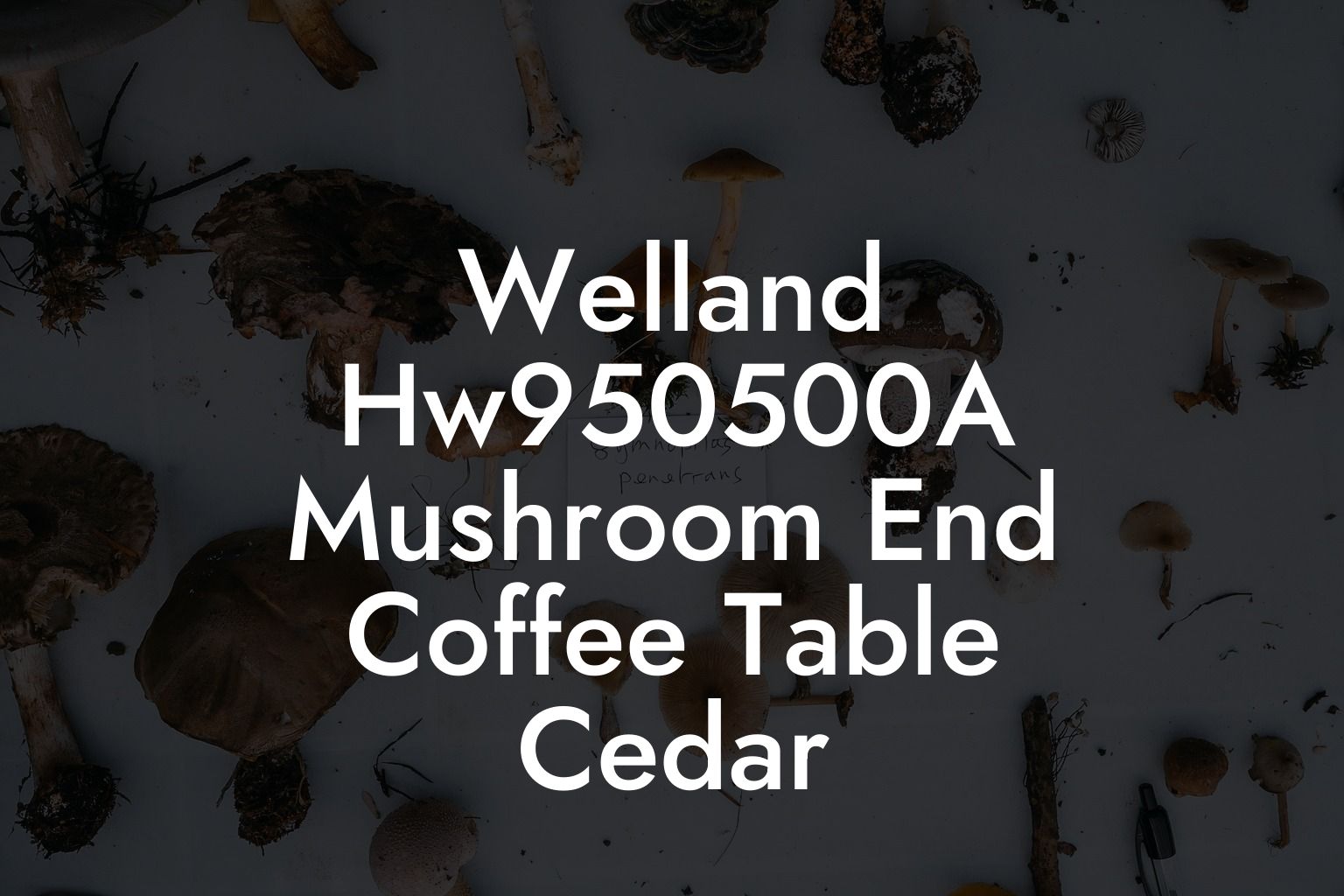 Welland Hw950500A Mushroom End Coffee Table Cedar