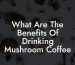 What Are The Benefits Of Drinking Mushroom Coffee
