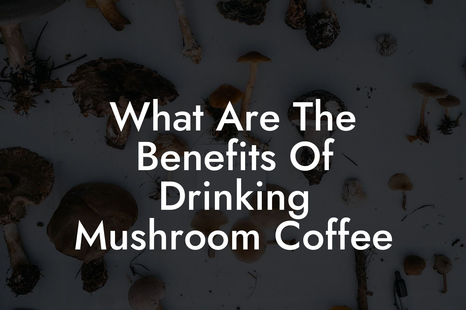 What Are The Benefits Of Drinking Mushroom Coffee