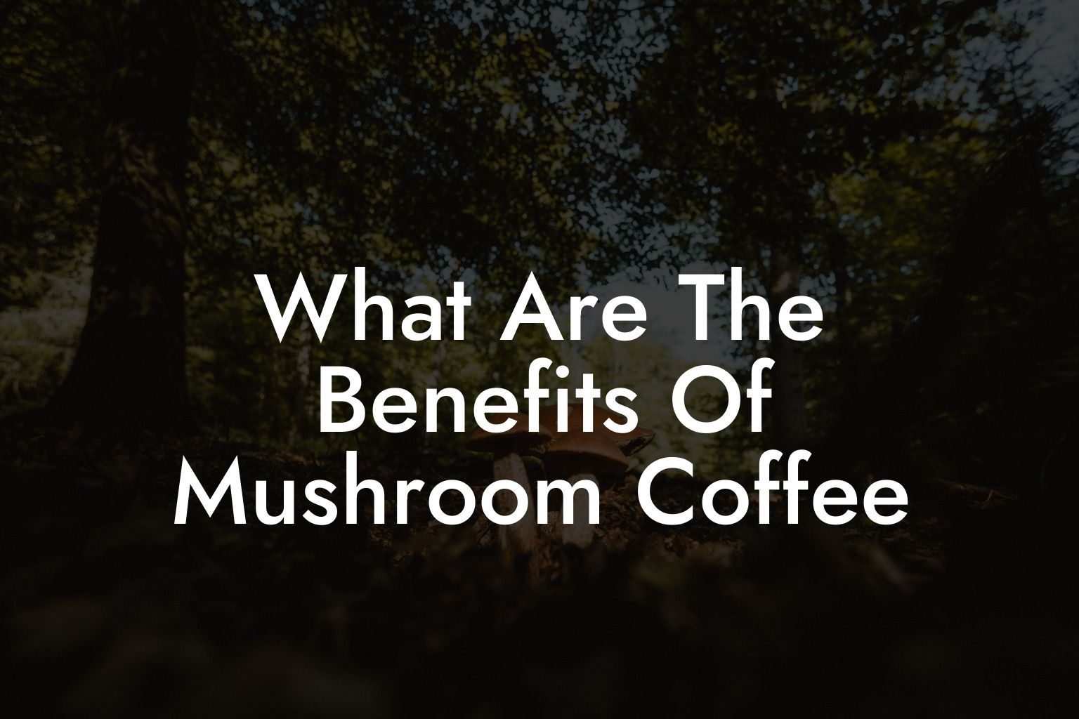 What Are The Benefits Of Mushroom Coffee