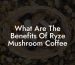 What Are The Benefits Of Ryze Mushroom Coffee