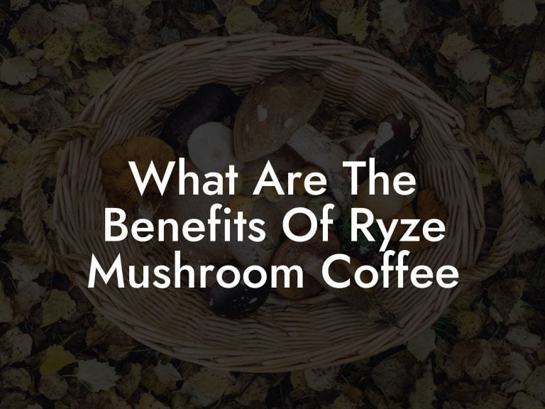 What Are The Benefits Of Ryze Mushroom Coffee Mr Mushroom