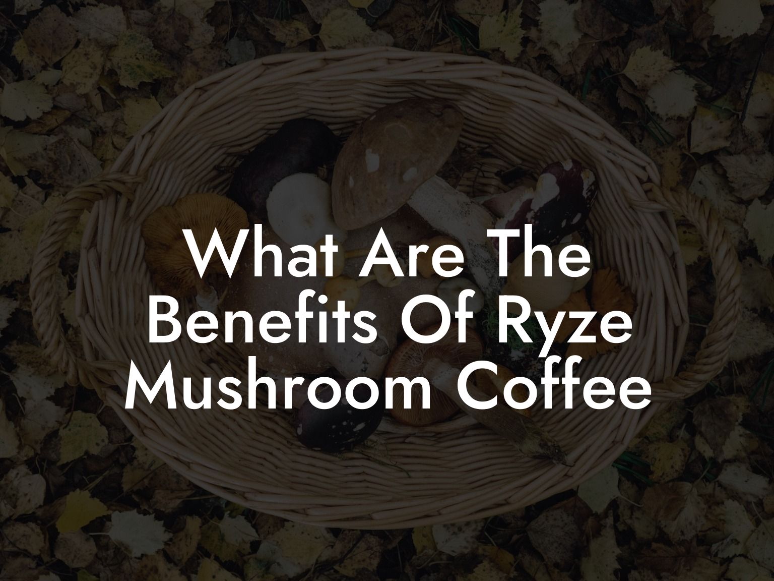 What Are The Benefits Of Ryze Mushroom Coffee