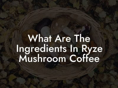 What Are The Ingredients In Ryze Mushroom Coffee - Mr Mushroom