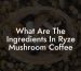 What Are The Ingredients In Ryze Mushroom Coffee