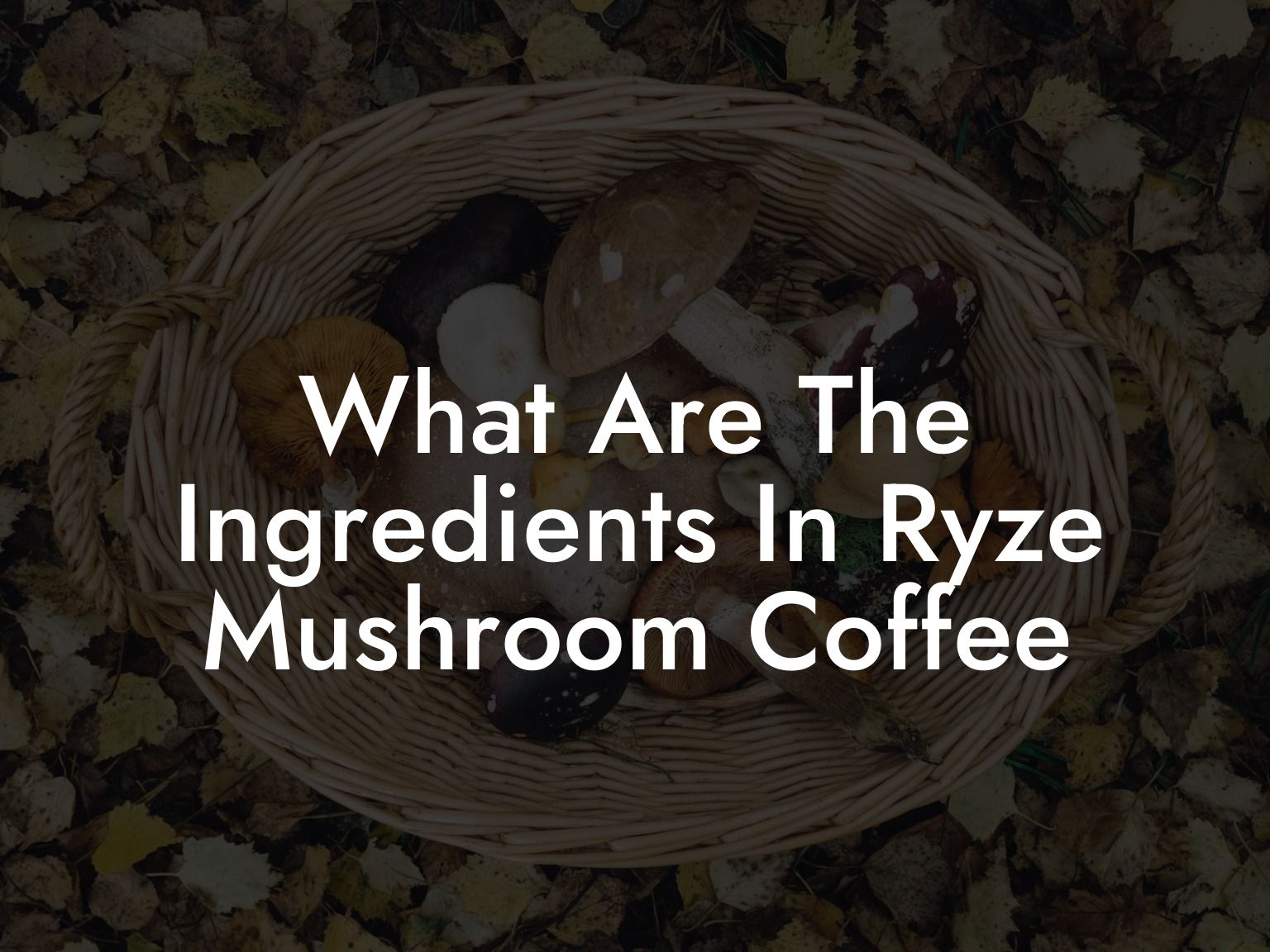 What Are The Ingredients In Ryze Mushroom Coffee