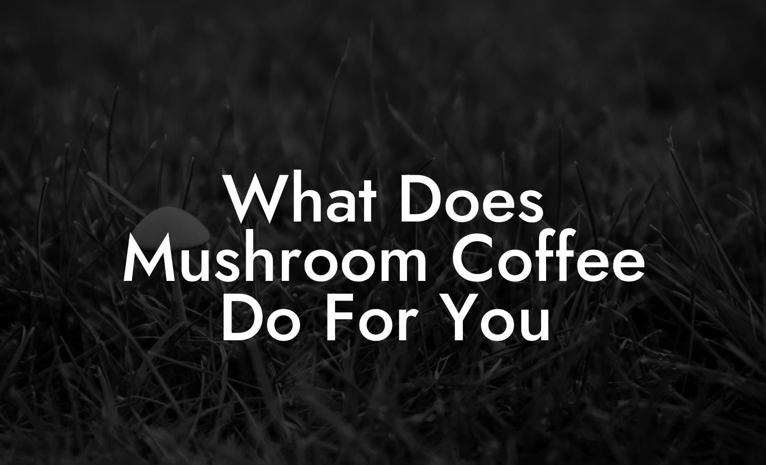 What Does Mushroom Coffee Do For You